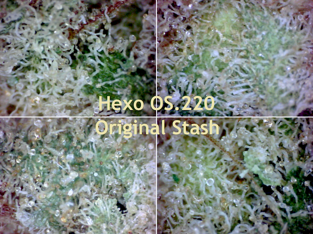 Hexo-Hydropothecary-Original-Stash-Indica-OS-220-640x480.png