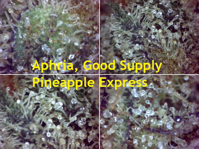 3-Photo-SQd-C-Aphria-Good-Supply-Pineapple-Express-640x480.png