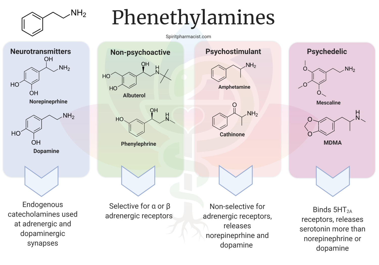 Image Source: Foundation to Psychedelic Pharmacology