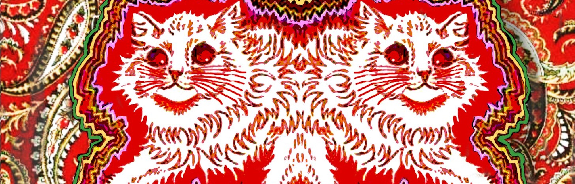 cats in psychedelic colors
