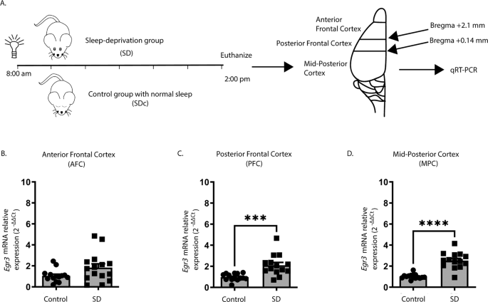figure1 figure1