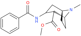 2-carbomethoxy-3-(phenylcarbonylamino)-tropane.png