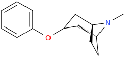 3-phenoxytropane.png