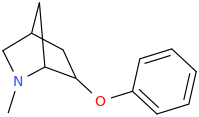 N-methyl-5-phenyloxy-3-azabicyclo[2.2.1]heptane.png