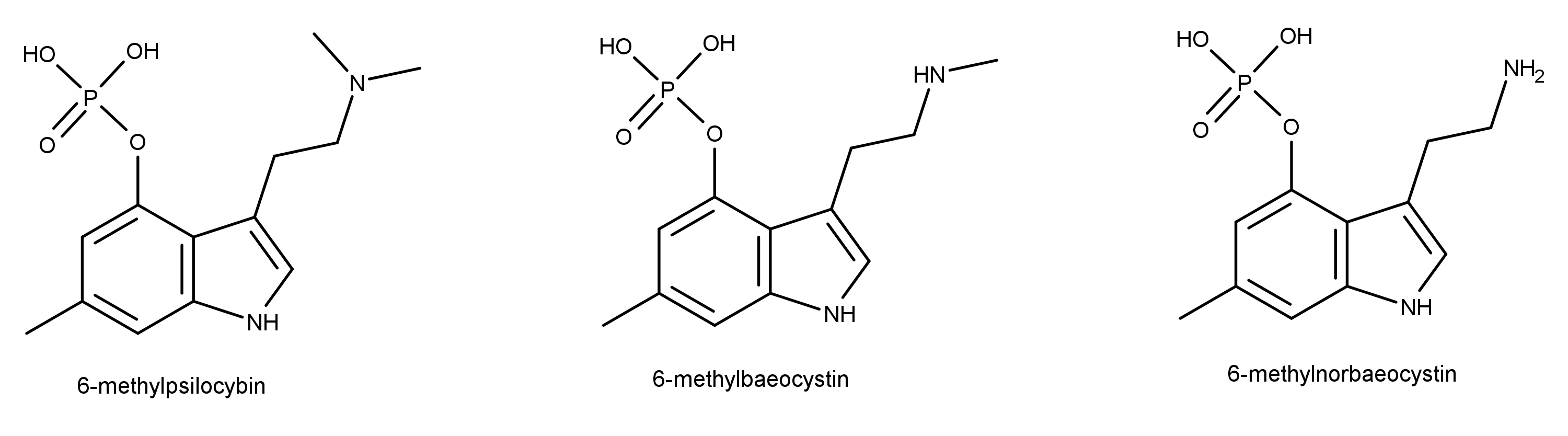 3000-6-methylated-congeners.png