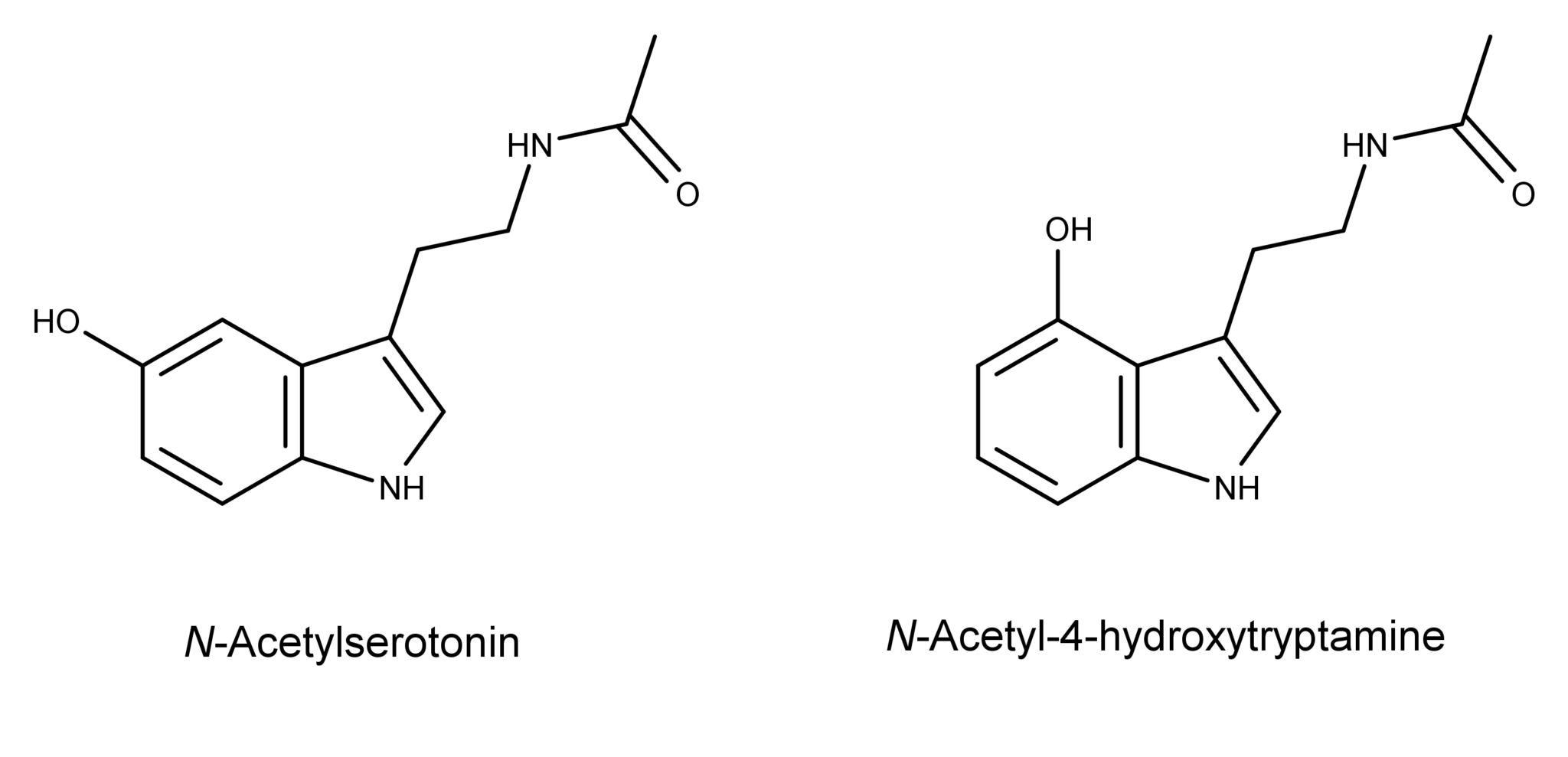 3000-N-acetylserotonin-and-N-acetyl-4-hydroxytryptamine2-2048x989.png