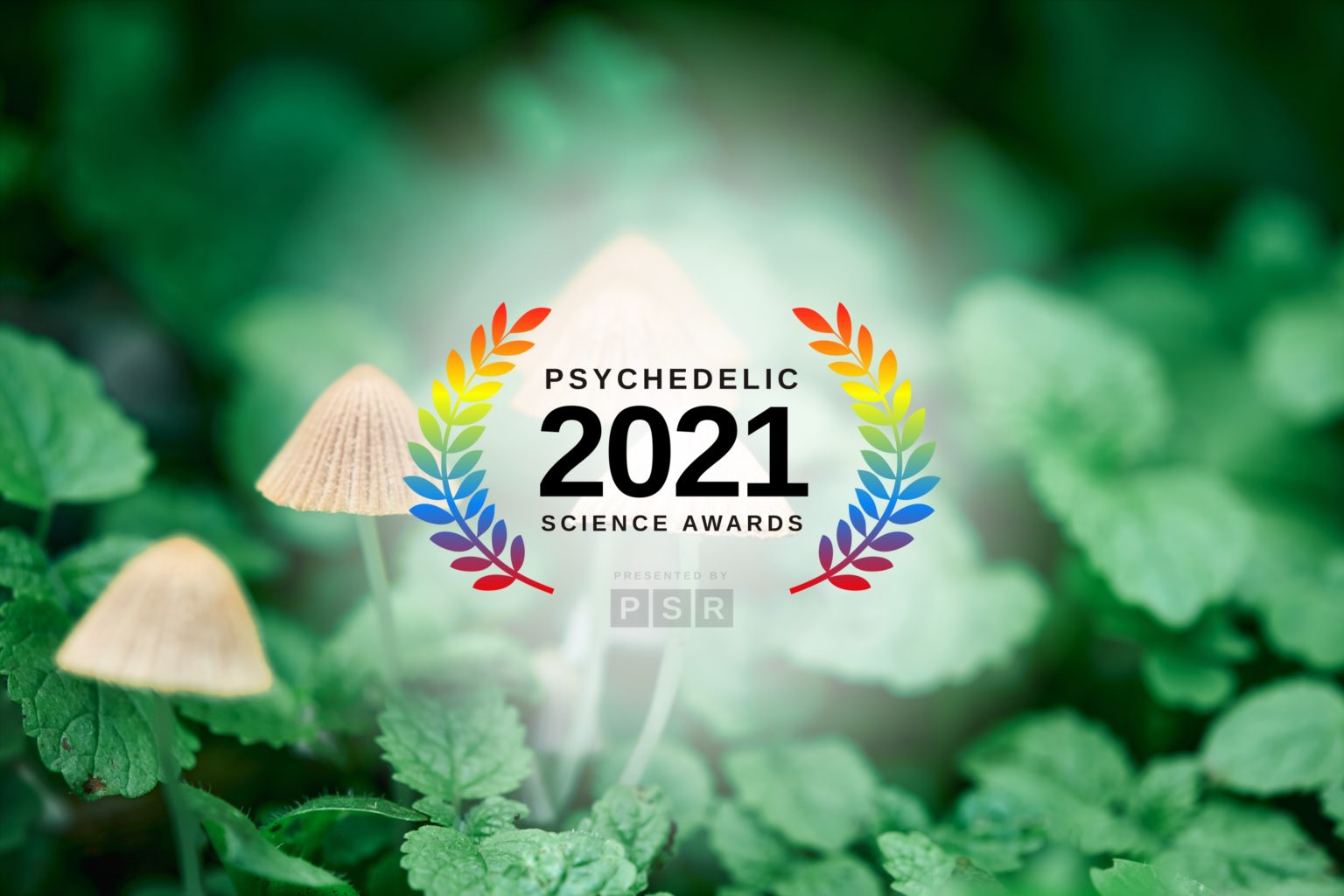 2021-Psychedelic-Science-Awards-1-1536x1025.jpg