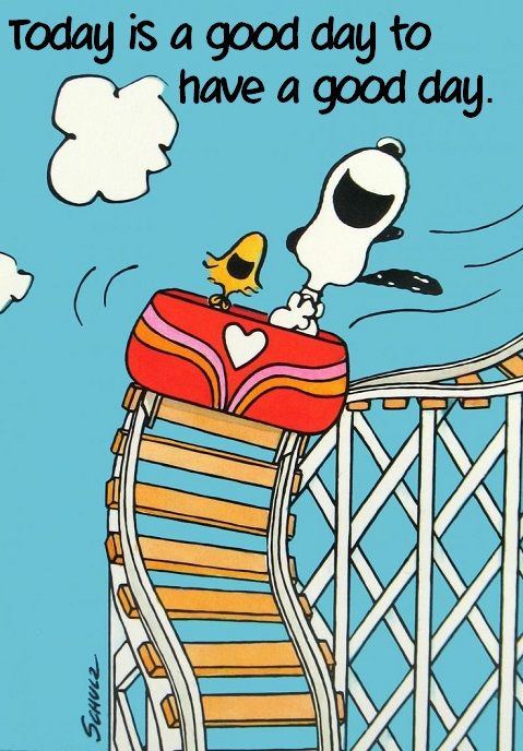 22543dcdcd794c35f7602facf0a18bc1--snoopy-love-snoopy-and-woodstock.jpg