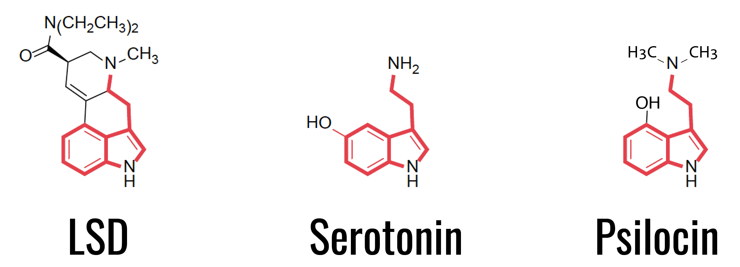 chemical-structure-LSD-serotonin-psilocin@2x.png
