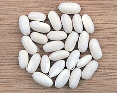 235px-Phaseolus_vulgaris_white_beans%2C_witte_boon.jpg