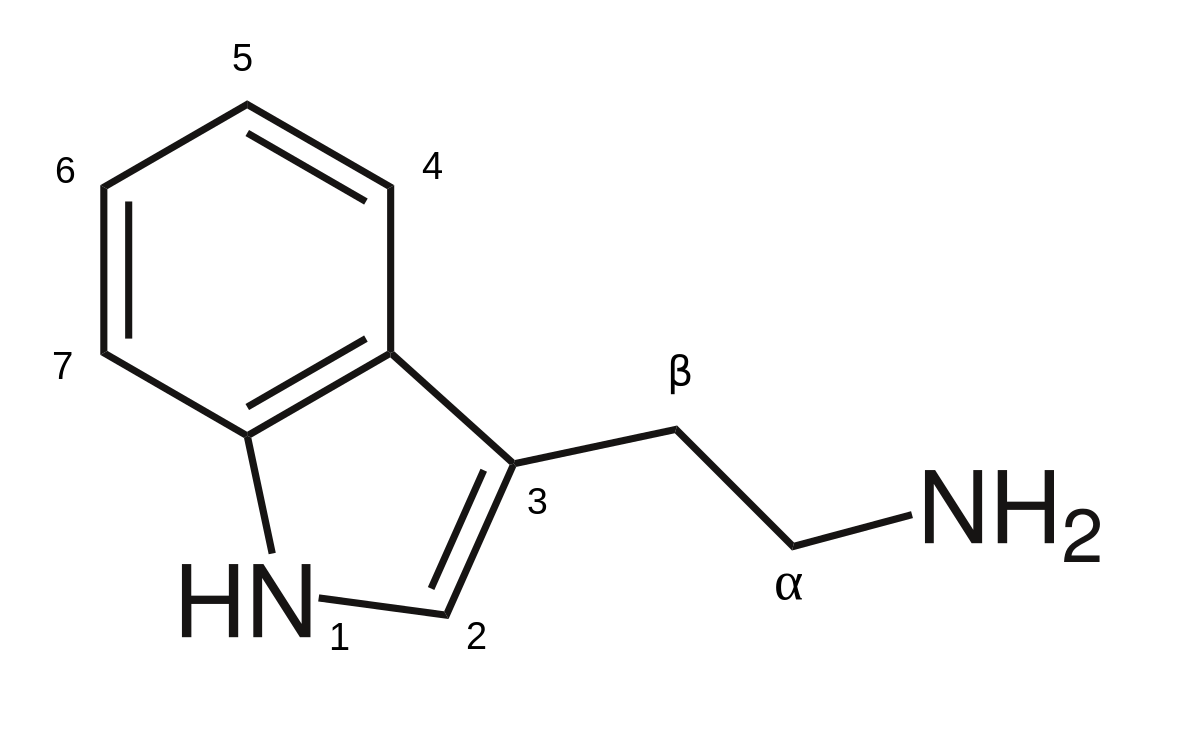 1200px-Tryptamine_structure.svg.png
