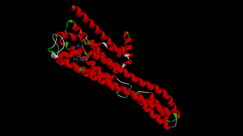 1589542231777-5-HT2A-receptor-in-complex-with-psilocin-analog001.png