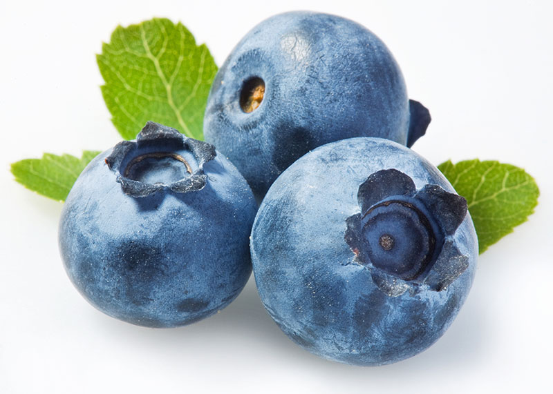 commodity-blueberry.jpg